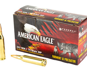 FED AM EAGLE V&P 243WIN 75GR 40/200