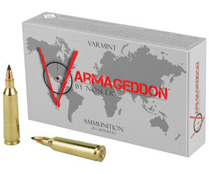 NOSLER VG 22-250 55GR FB TIP 20/200