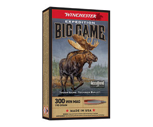 WIN EXPD BIG GM 300WIN 190GR 20/200