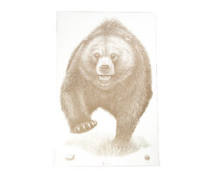 ACTION TGT AK STATE PARK BEAR 100PK