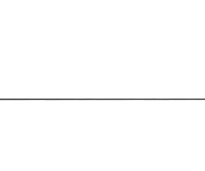 REAL AVID BORE MAX ROD .30CAL 36