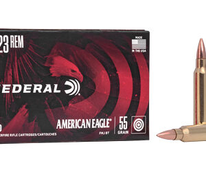 FED AM EAGLE 223REM 55G FMJ BT20/500