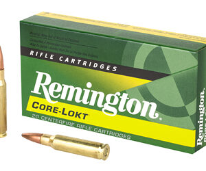 REM 308WIN 180GR PSP CL 20/200