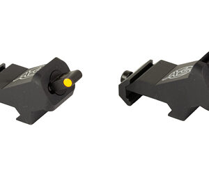 XS XTI2 DXS STANDARD DOT ORN